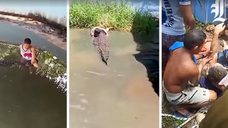 Homem confunde crocodilo com estátua e é atacado