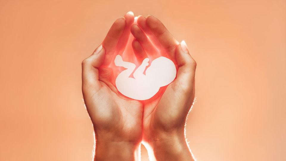 Juiz federal suspende lei que permite aborto na Argentina