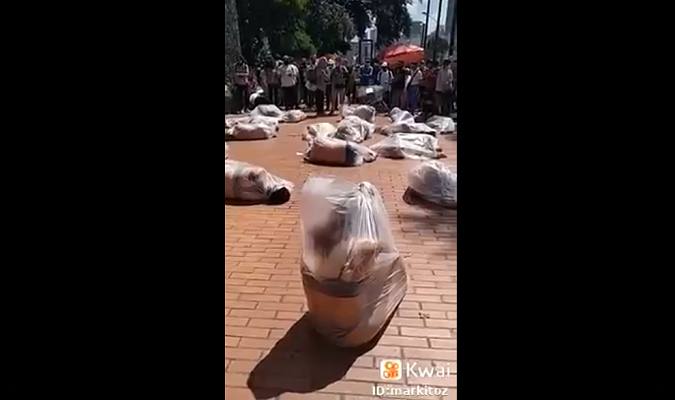 Fake News vídeo que mostra missionarias sendo morta no Afeganistão