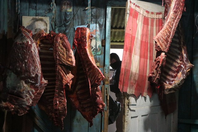 Carne de cavalo era servida em hambúrguerias de Caxias do Sul