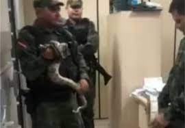 Jiboia é encontrada escondido embaixo de armário na sede de Secretaria estadual em Belém