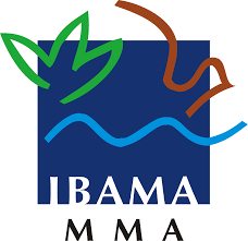 Ibama e Vale realizam segunda audiência pública sobre Projeto Mina N3