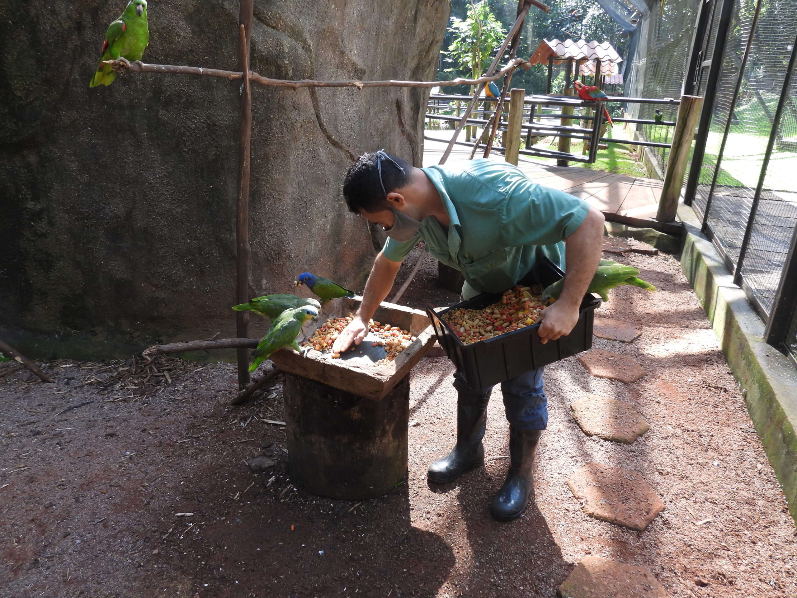 Cuidados com os animais seguem no Parque Zoobotânico Vale durante a pandemia