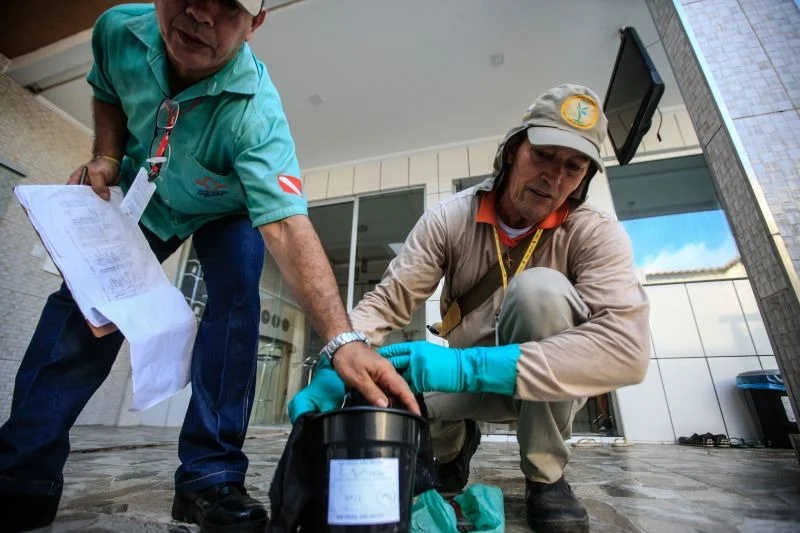 Dengue no Pará: Redução de Casos em Janeiro de 2025