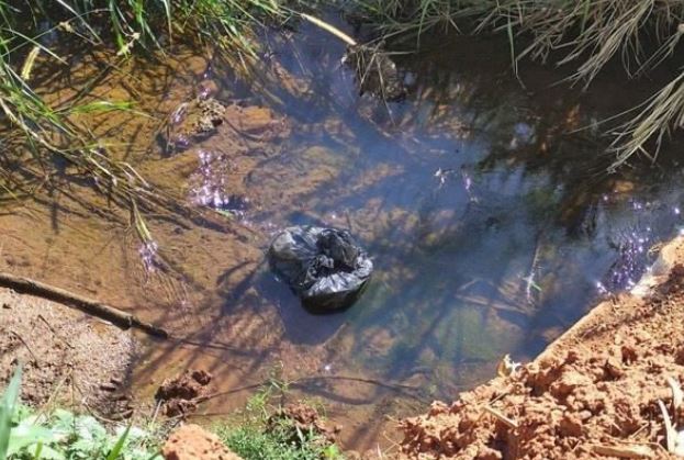 Neto mata avô de 84 anos decapitado