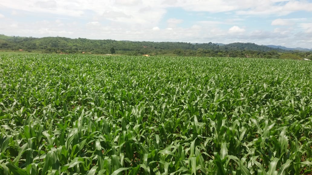 Empreendimentos comunitários contarão com investimentos da Vale para desenvolvimento no sudeste do Pará