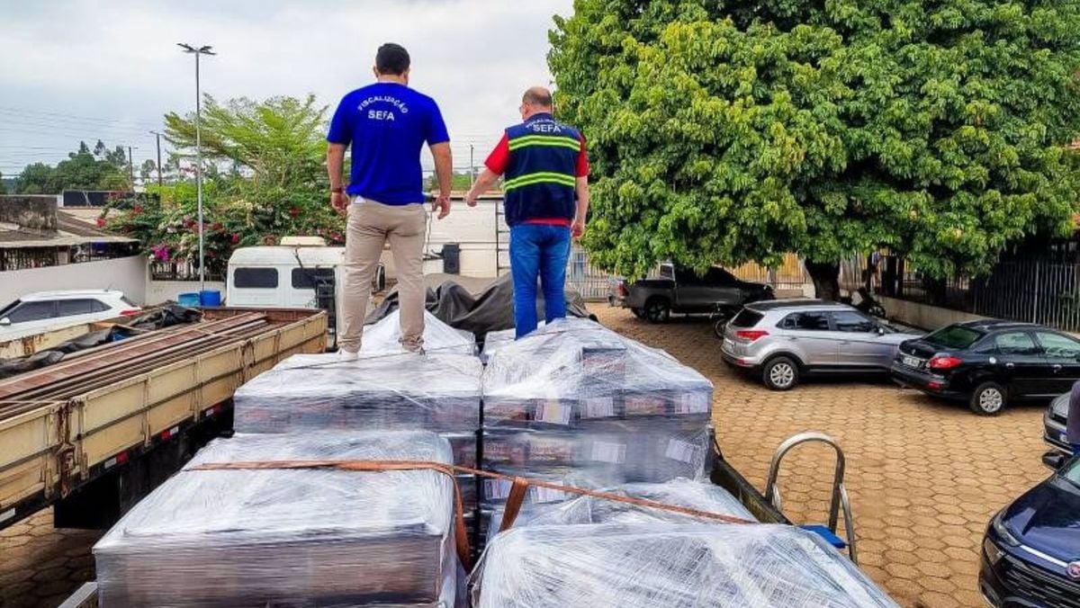 Fiscalização da Sefa apreende cinco toneladas de baterias e pneus irregulares no Pará