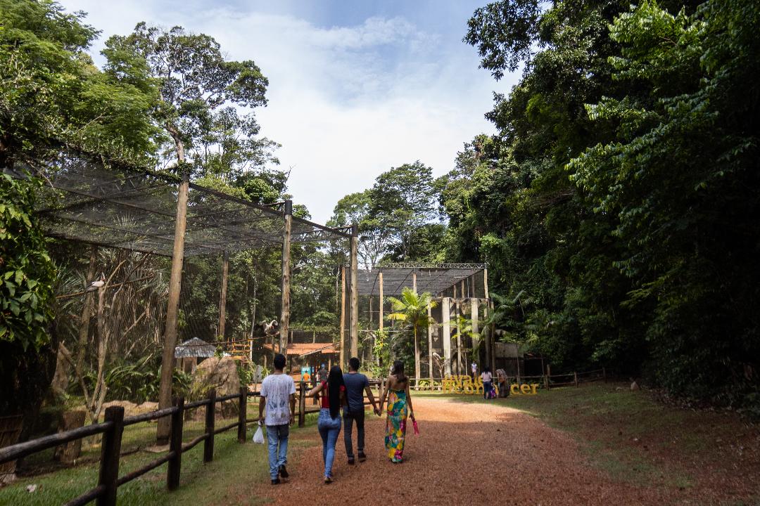 Bioparque Vale Amazônia reabre para visitação nesta sexta-feira (08)