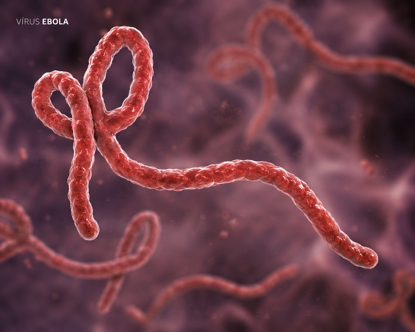 República Democrática do Congo confirma mais 71 casos de ebola