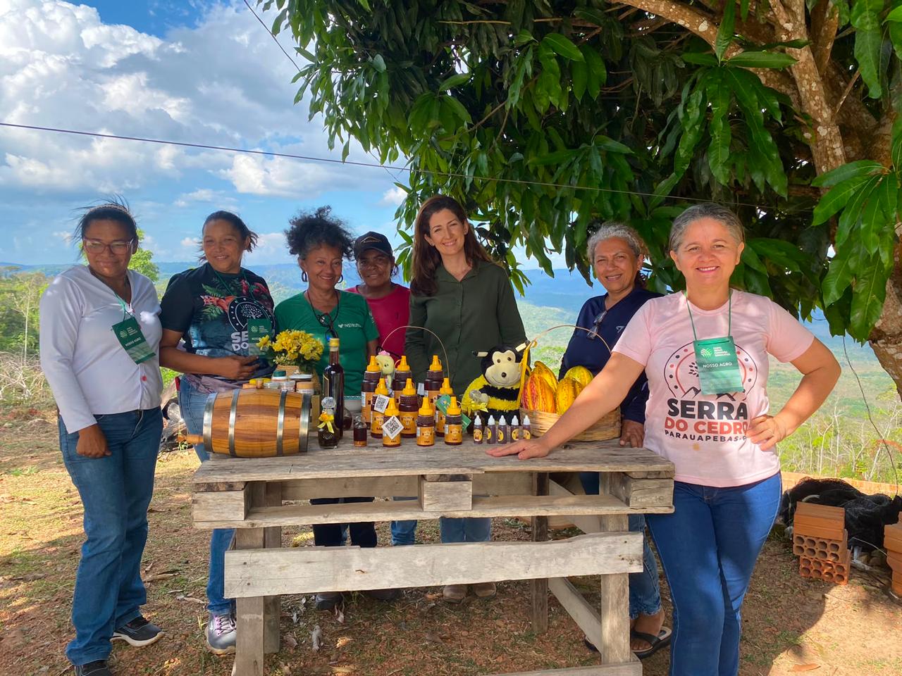 Mineradora Ligga leva curso de meliponicultura para produtores rurais da Serra do Cedro