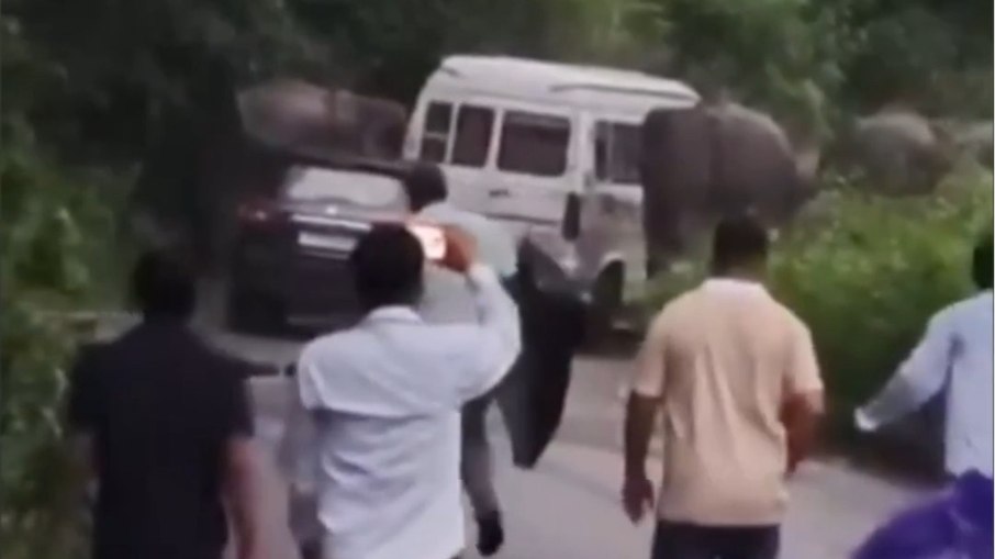 Elefantes cercam van com professores durante 90 minutos no norte da Índia