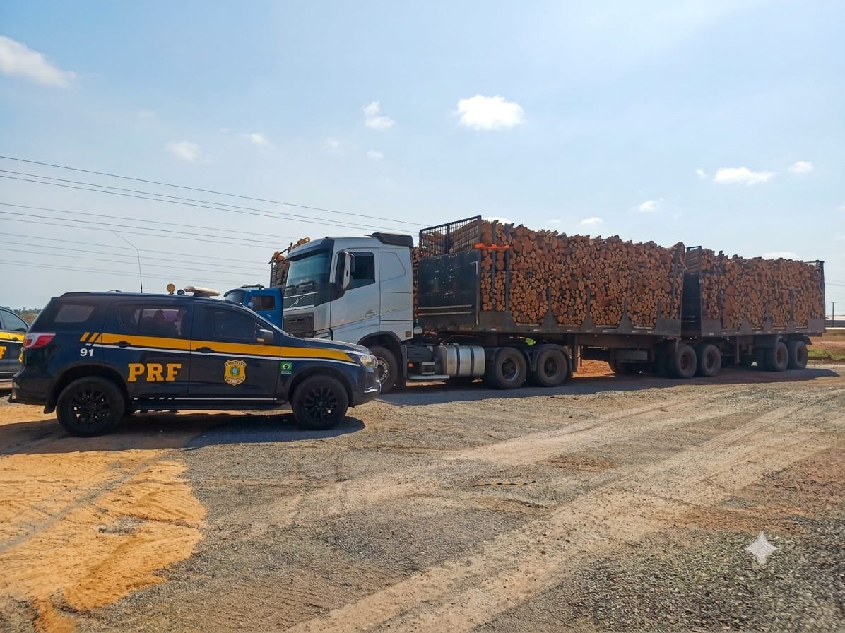 PRF apreende caminhão com carga irregular de madeira na Transamazônica